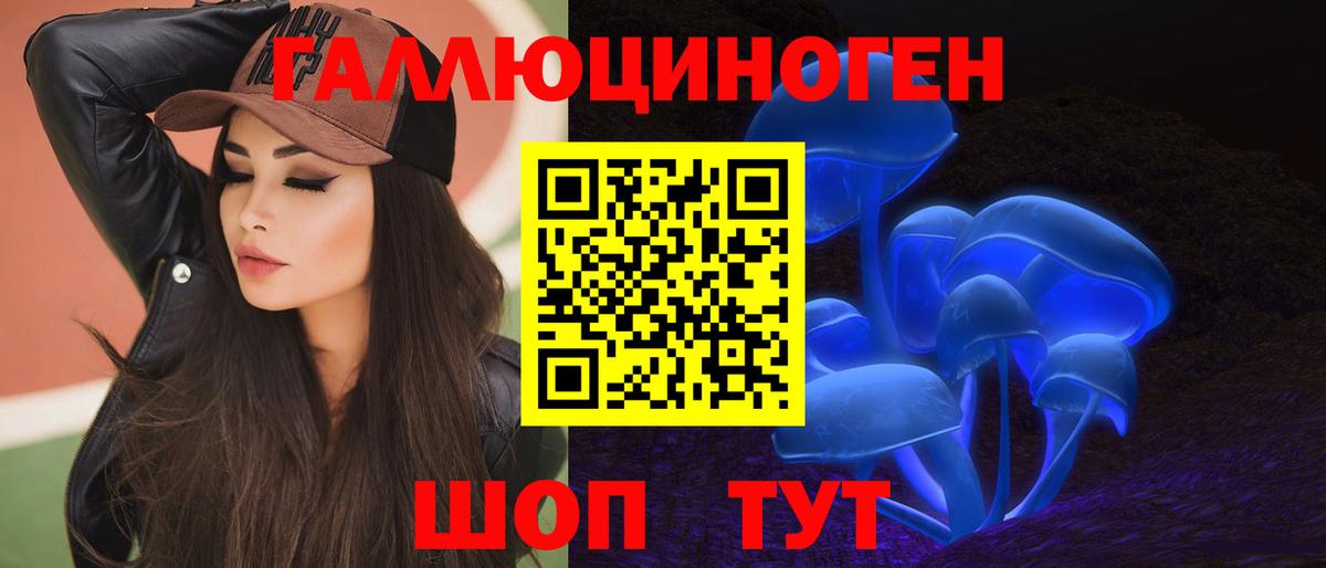 Краснознаменск  Галлюциногенные грибы GOLDEN TEACHER  Вход с VPN  Галлюциногенные грибы Cubensis 