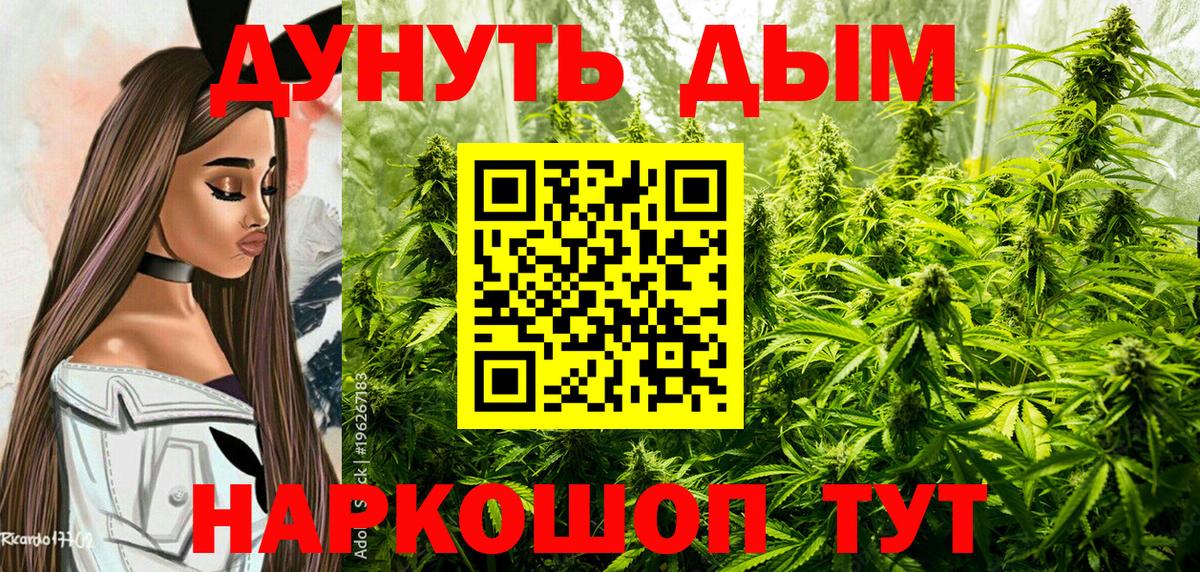 Каннабис гибрид Краснознаменск